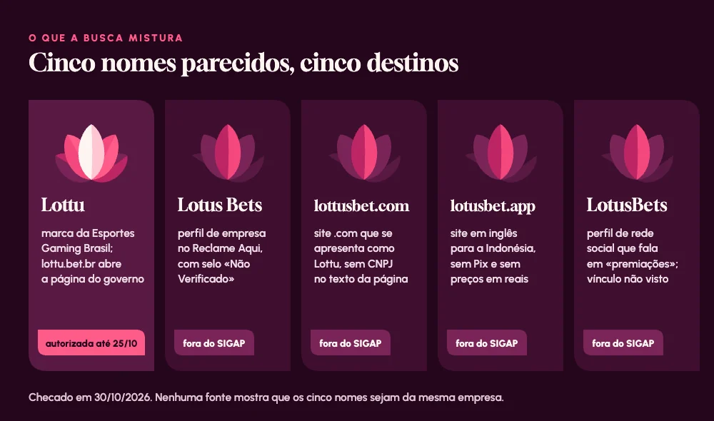 Cinco cartões com flores de lótus: Lottu, Lotus Bets, lottusbet.com, lotusbet.app e LotusBets, cada um com o que é e se está no SIGAP